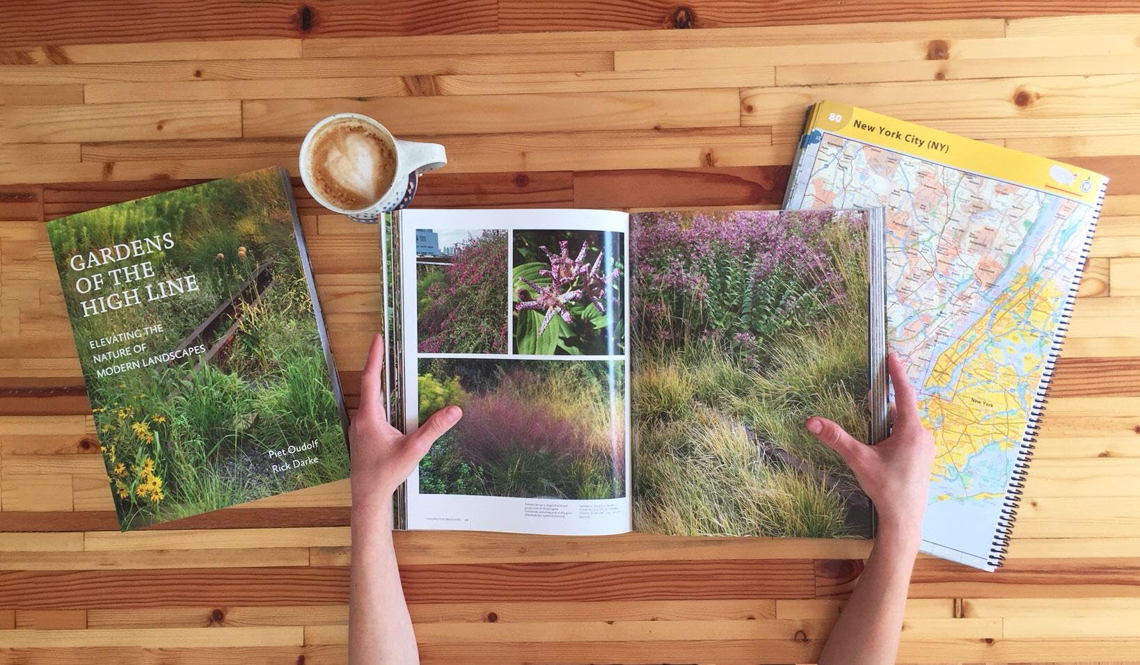 Gardens of the High Line: Elevating the Nature of Modern Landscapes