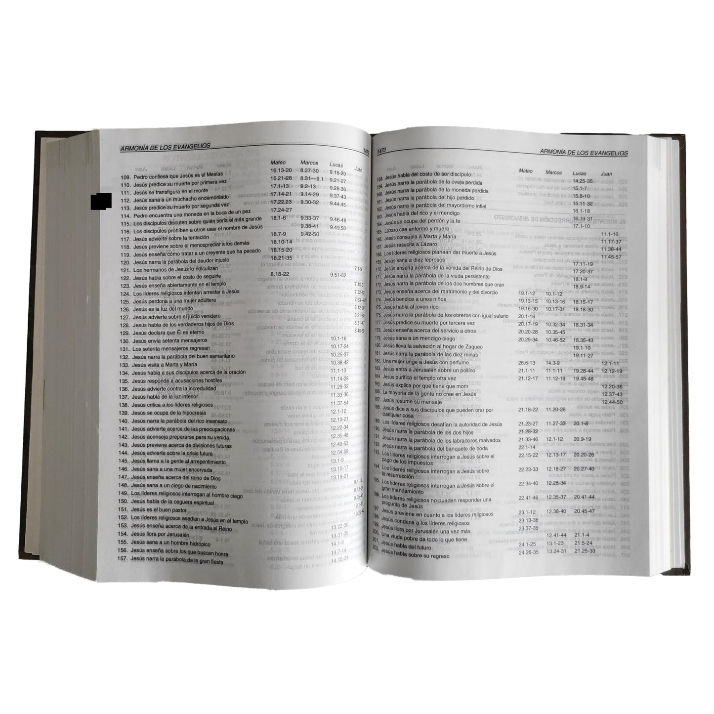 Biblia Del Diario Vivir