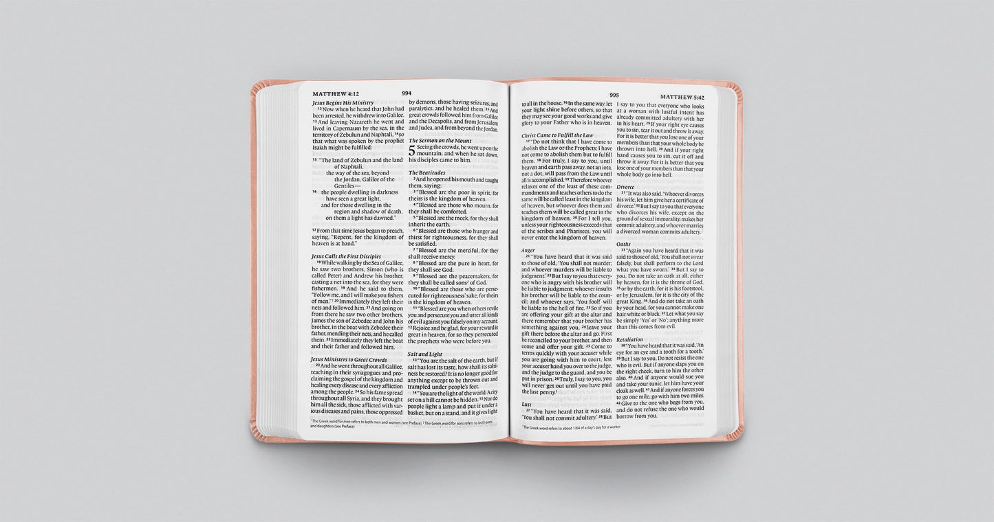 ESV Large Print Value Thinline Bible (TruTone, Pink, Fleur-de-lis Design): Holy Bible, English Standard Version