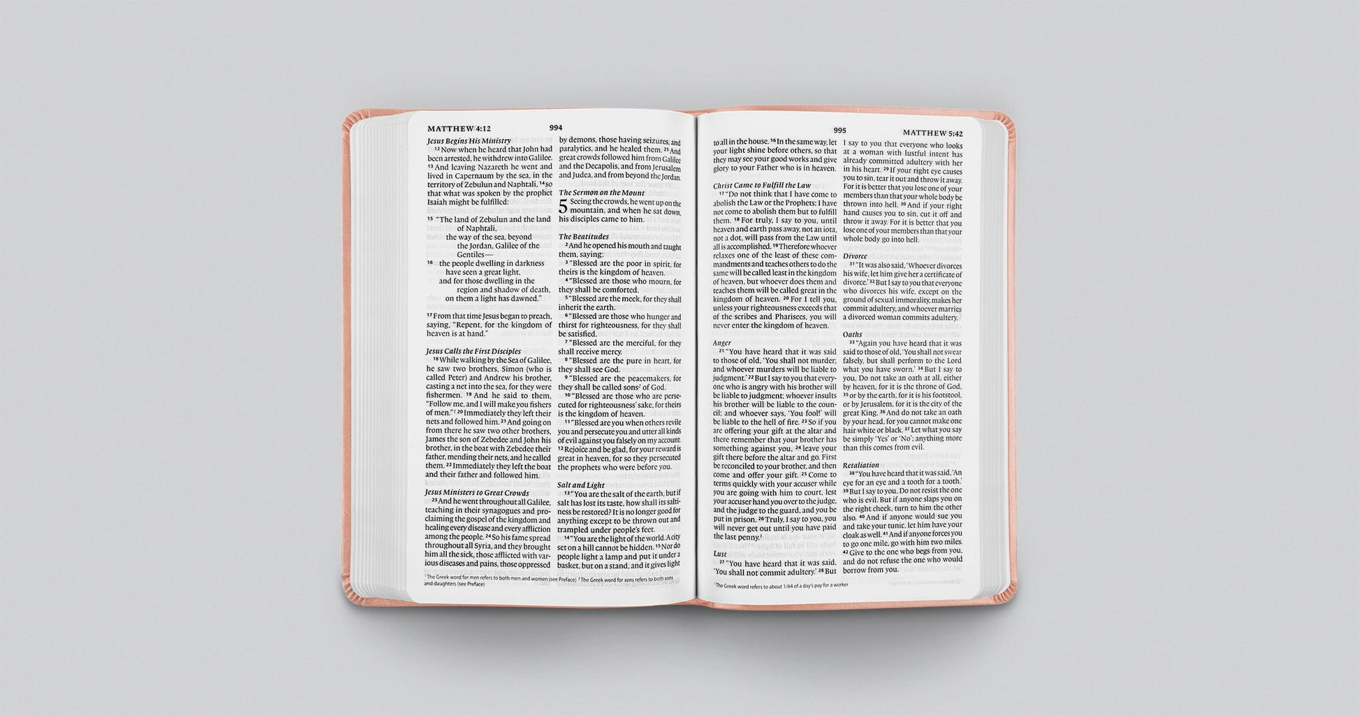ESV Large Print Value Thinline Bible (TruTone, Pink, Fleur-de-lis Design): Holy Bible, English Standard Version