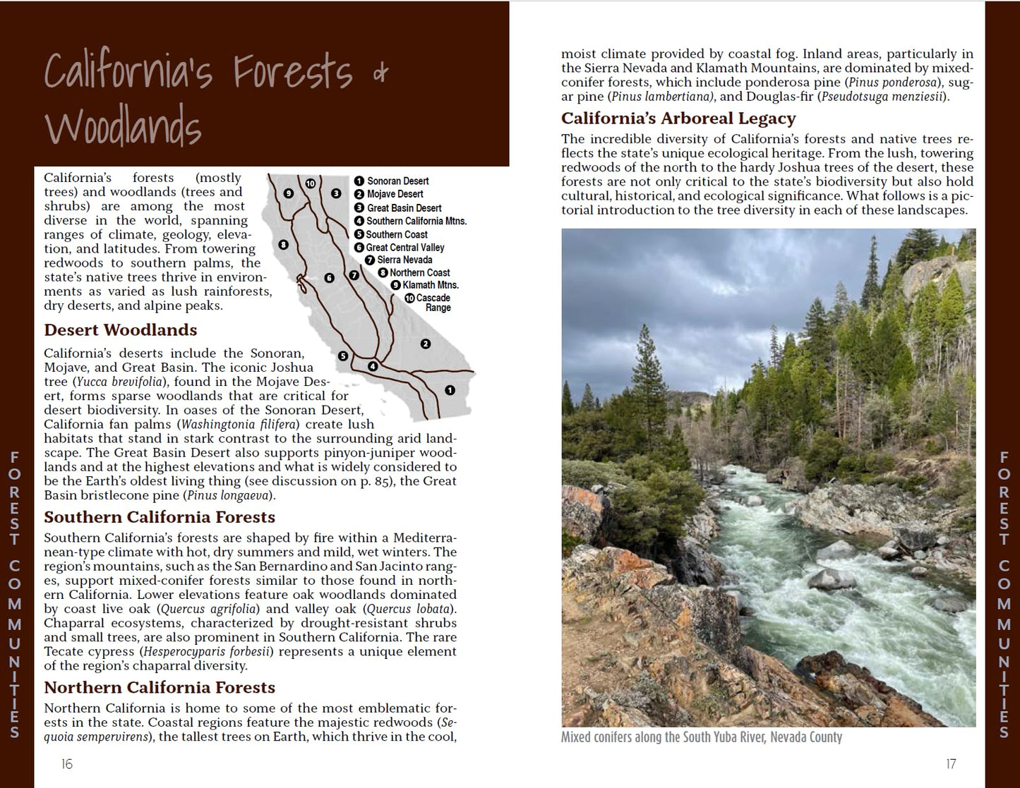 California Trees: A field guide to the native species
