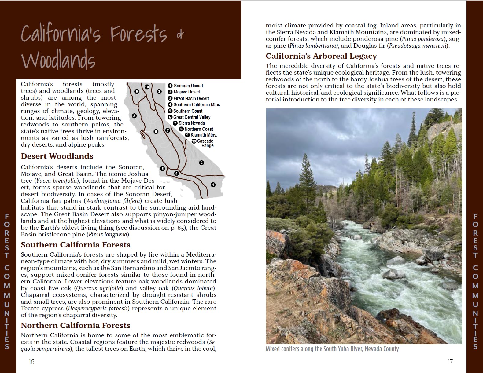 California Trees: A field guide to the native species
