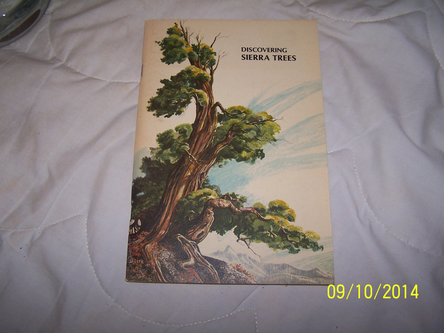 Discovering Sierra Trees