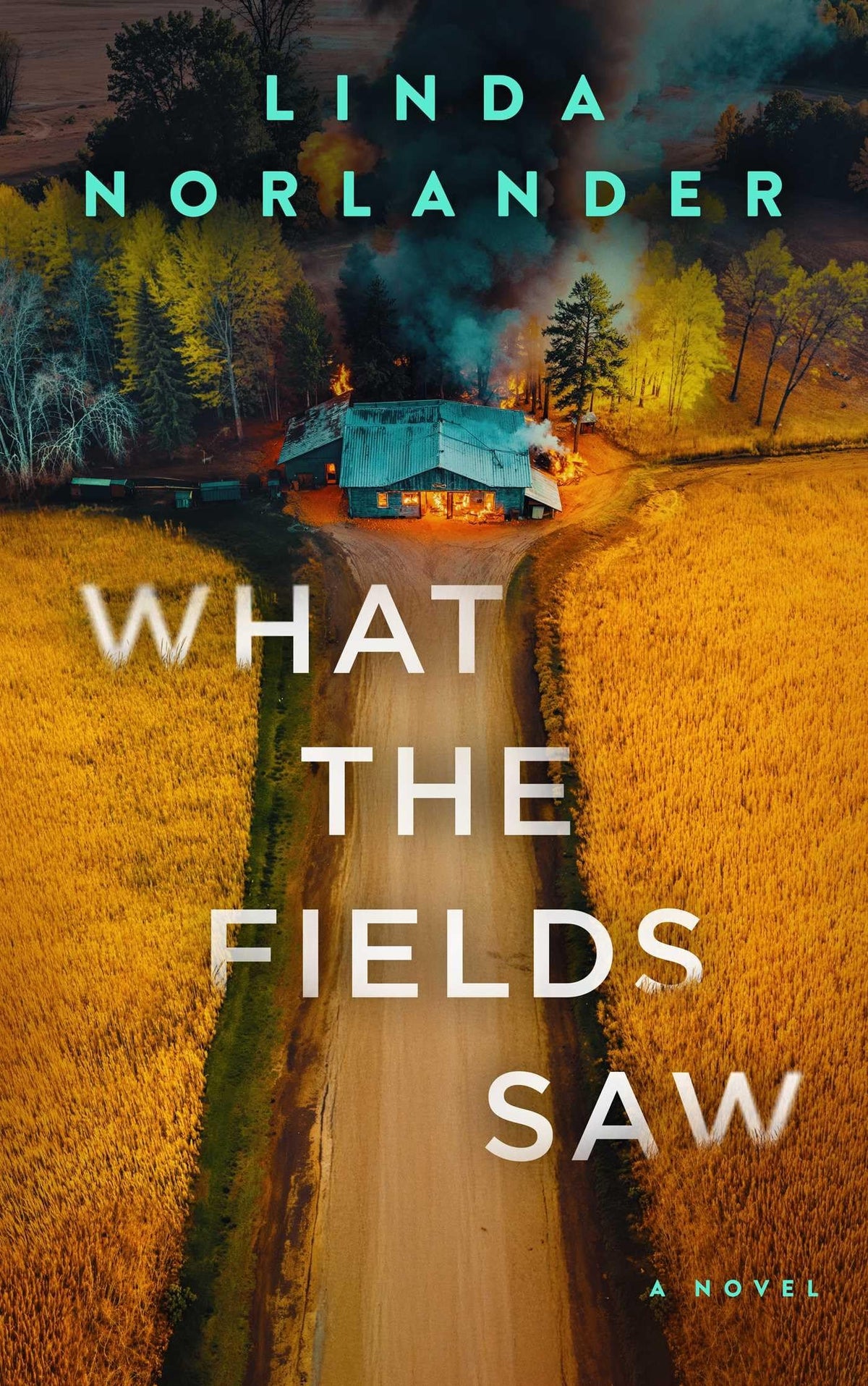 What the Fields Saw (Sheriff Red Mysteries)