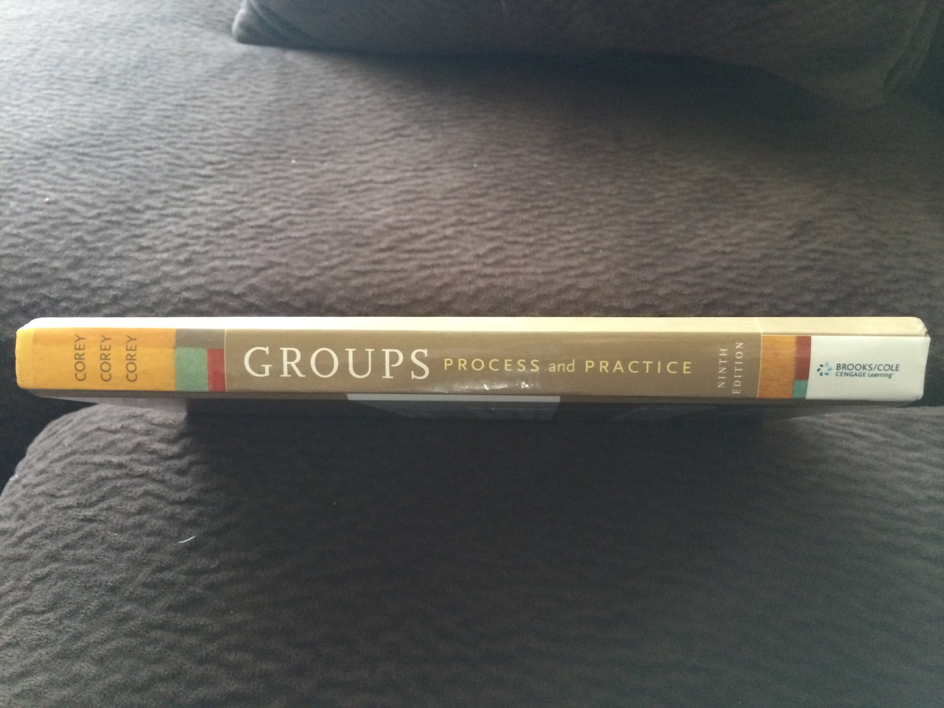 Groups: Process and Practice, 9th Edition