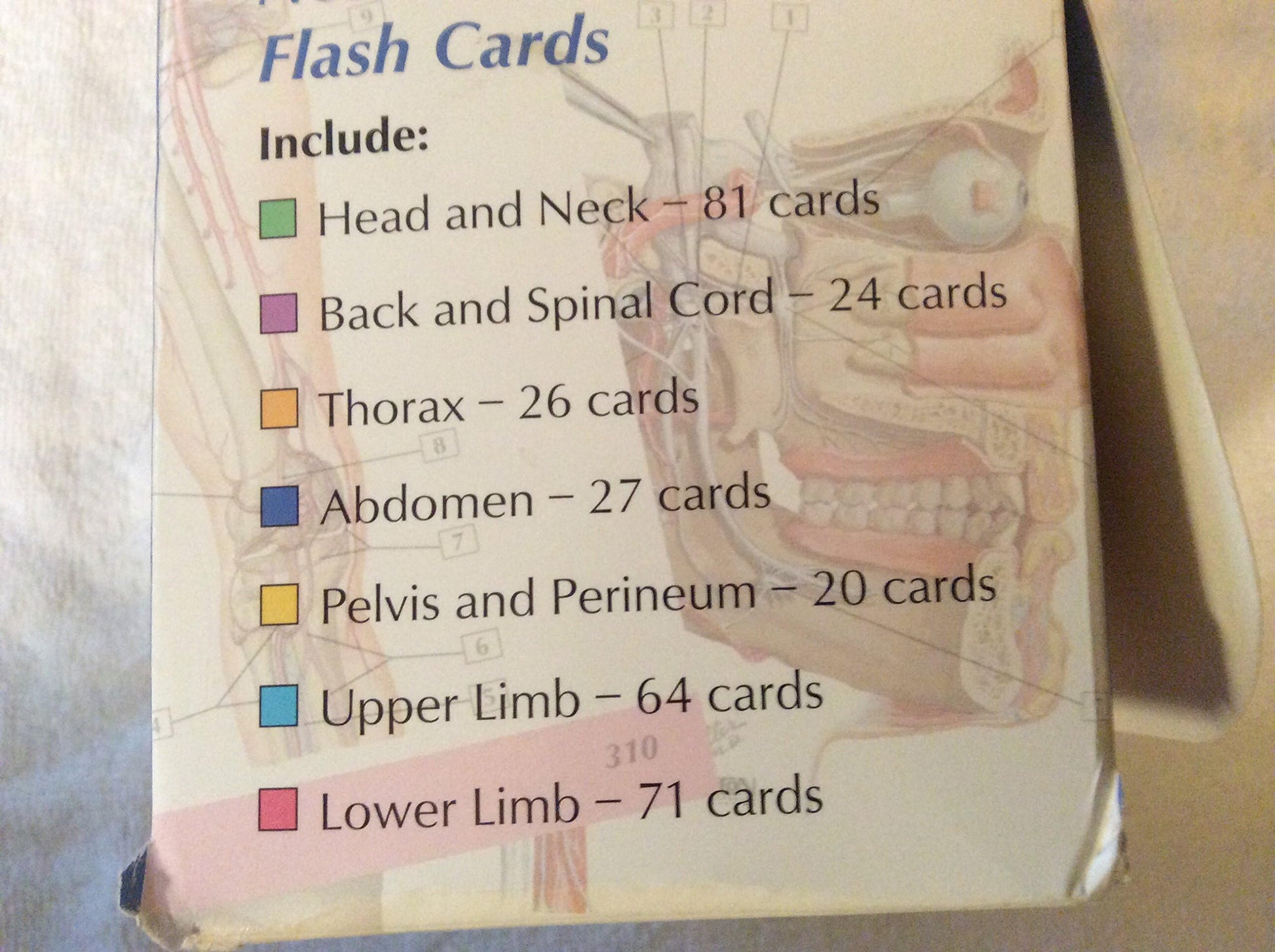 Netter's Anatomy Flash Cards