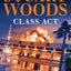 Class Act (A Stone Barrington Novel)