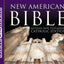 New American Bible: Revised New Testament Catholic Edition