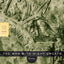 The Man with Night Sweats: Poems (FSG Classics)