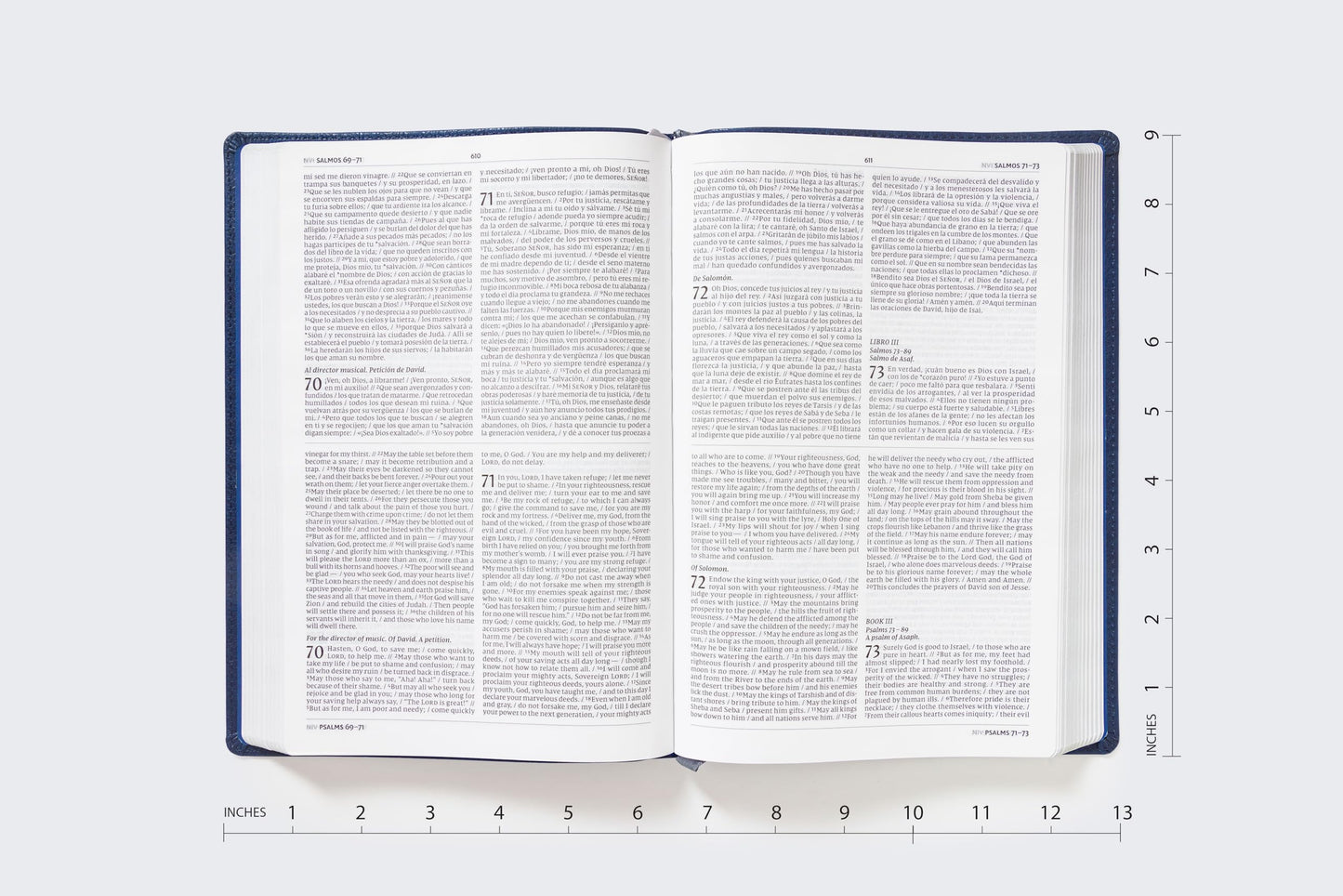 NIV/NVI Bilingual Bible, Revised Text 2022, Leathersoft, Navy / NIV/NVI, Biblia Bilinge, Revisin 2022, Leathersoft, Azul ail (Spanish Edition)