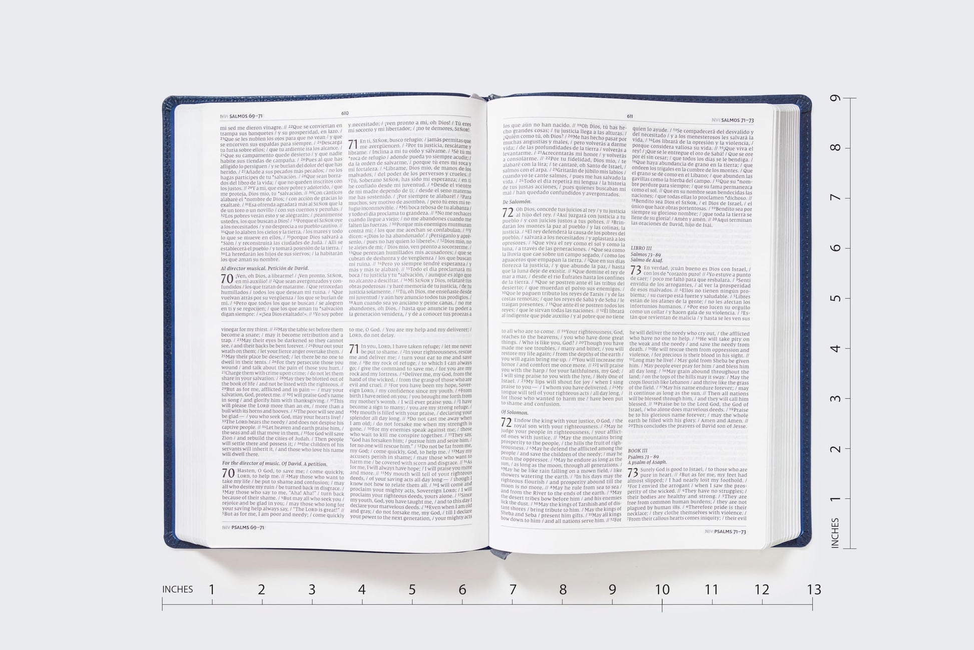 NIV/NVI Bilingual Bible, Revised Text 2022, Leathersoft, Navy / NIV/NVI, Biblia Bilinge, Revisin 2022, Leathersoft, Azul ail (Spanish Edition)