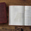 ESV Women's Study Bible (TruTone, Chestnut, Almond Tree Design): Holy Bible, English Standard Version