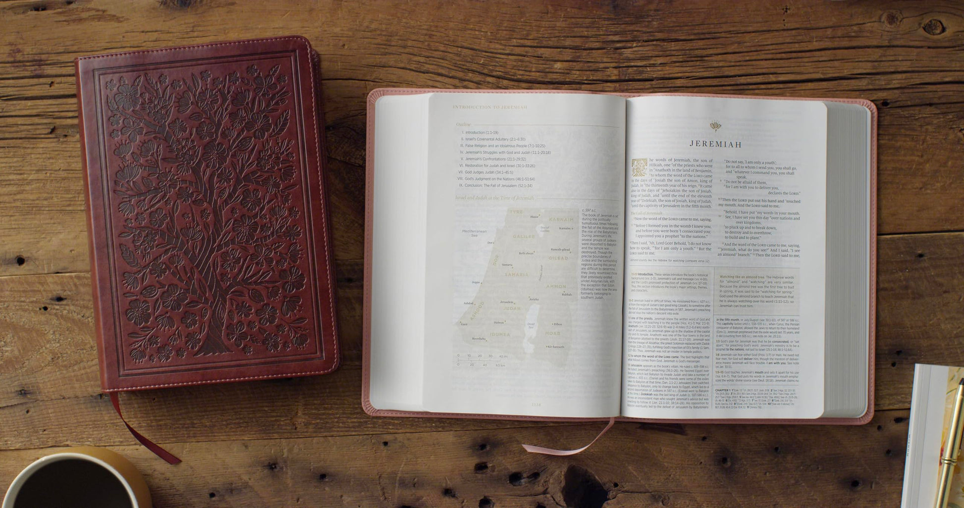 ESV Women's Study Bible (TruTone, Chestnut, Almond Tree Design): Holy Bible, English Standard Version