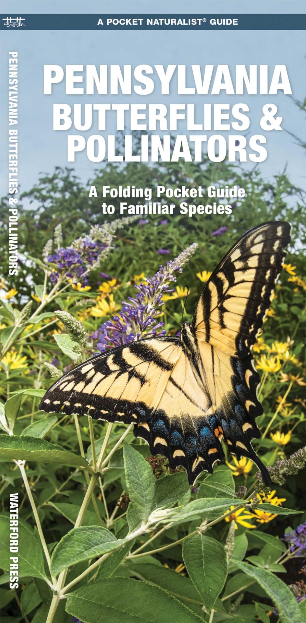 Pennsylvania Butterflies & Pollinators: A Folding Pocket Guide to Familiar Species (Nature Observation North America)