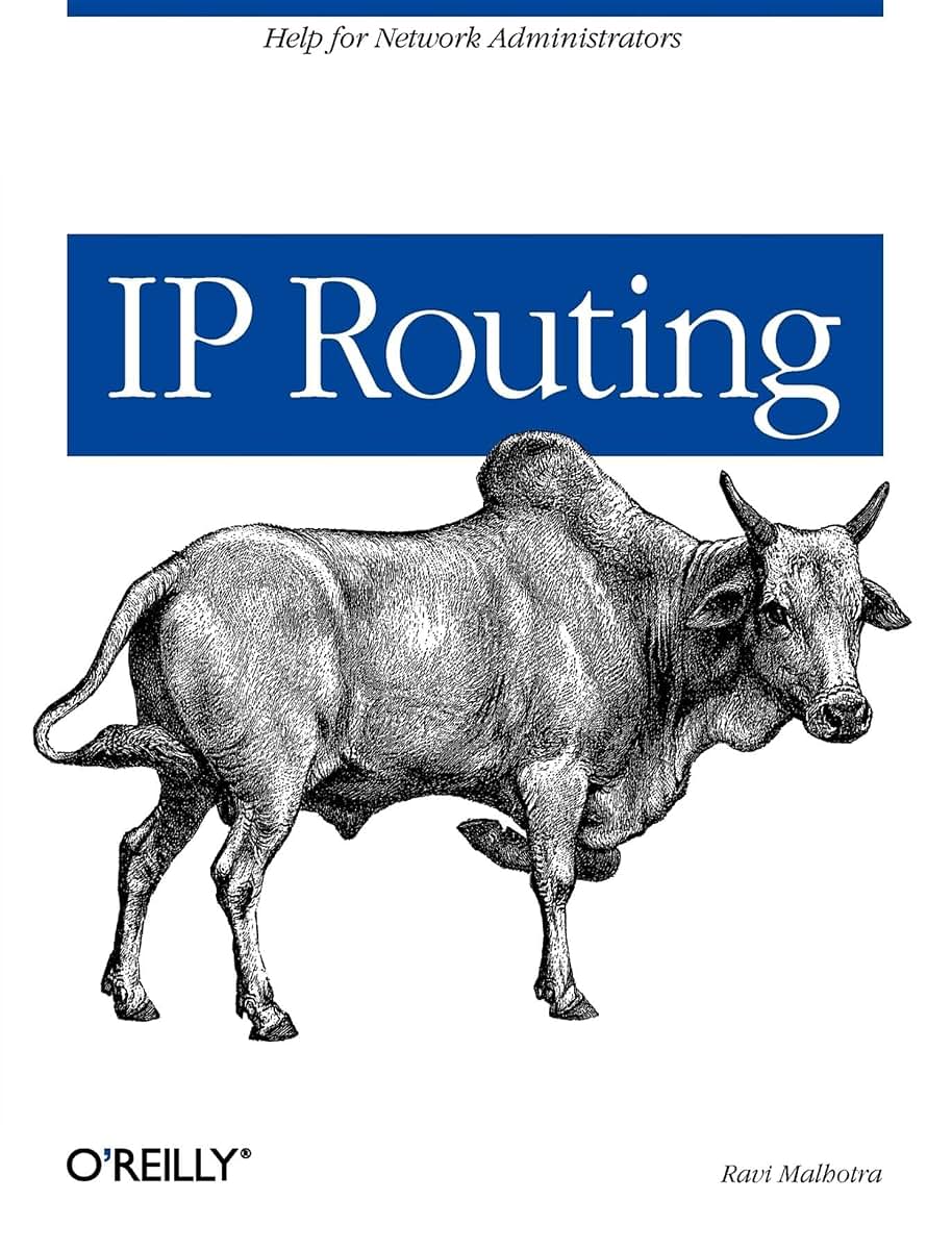 IP Routing: Help for Network Administrators