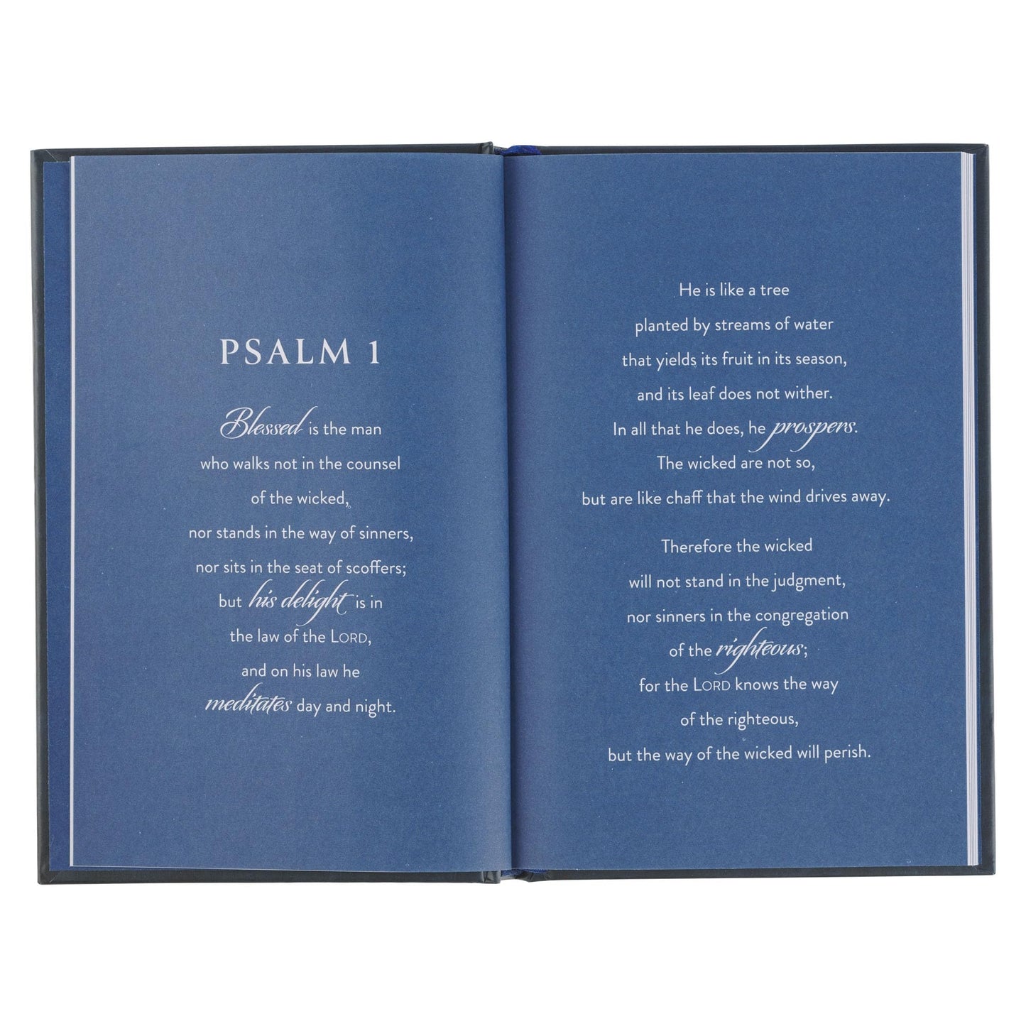 Shaped By God: Psalms That Shape the Heart and Mind