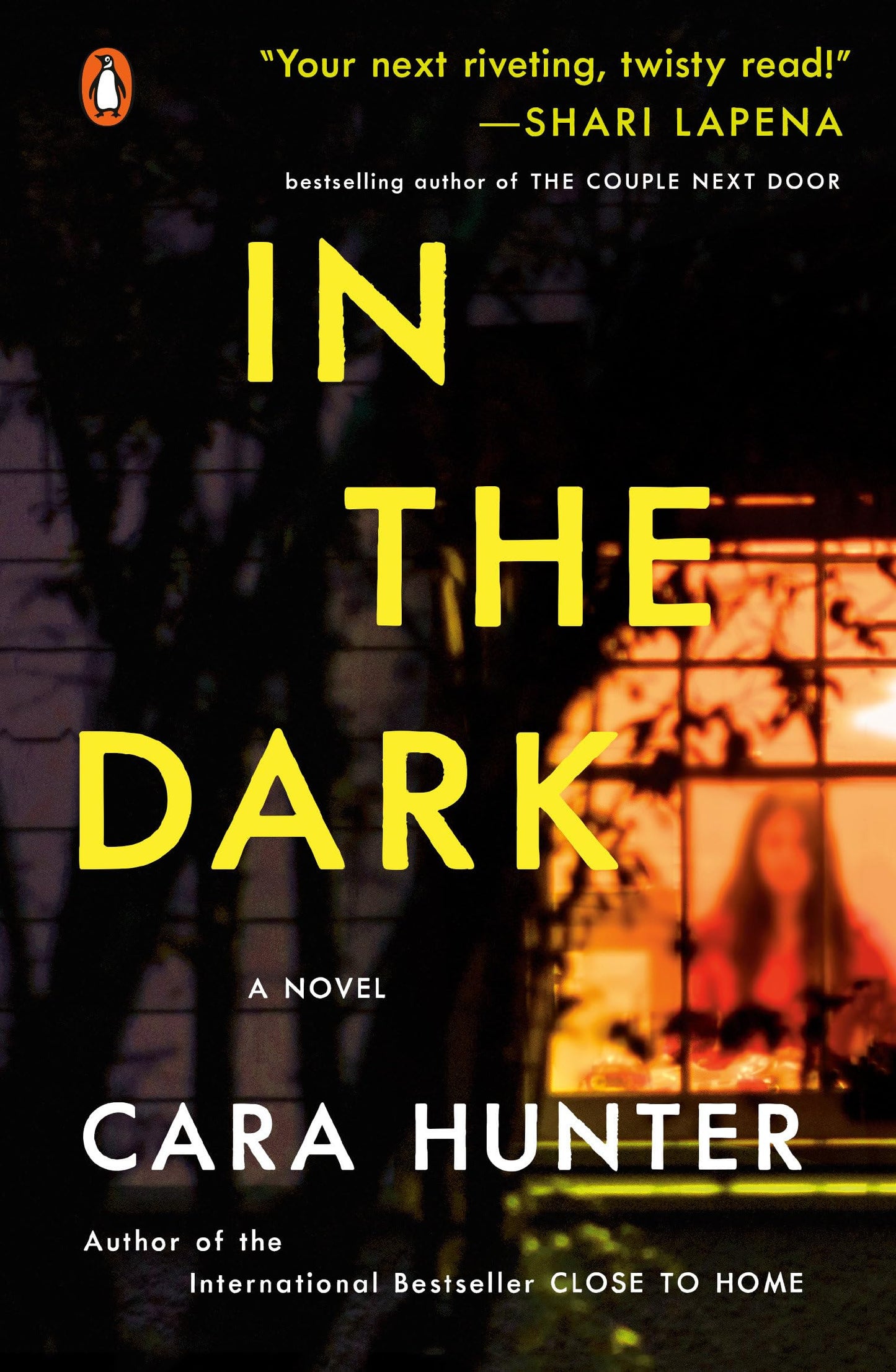In the Dark: A Novel (A DI Adam Fawley Novel)