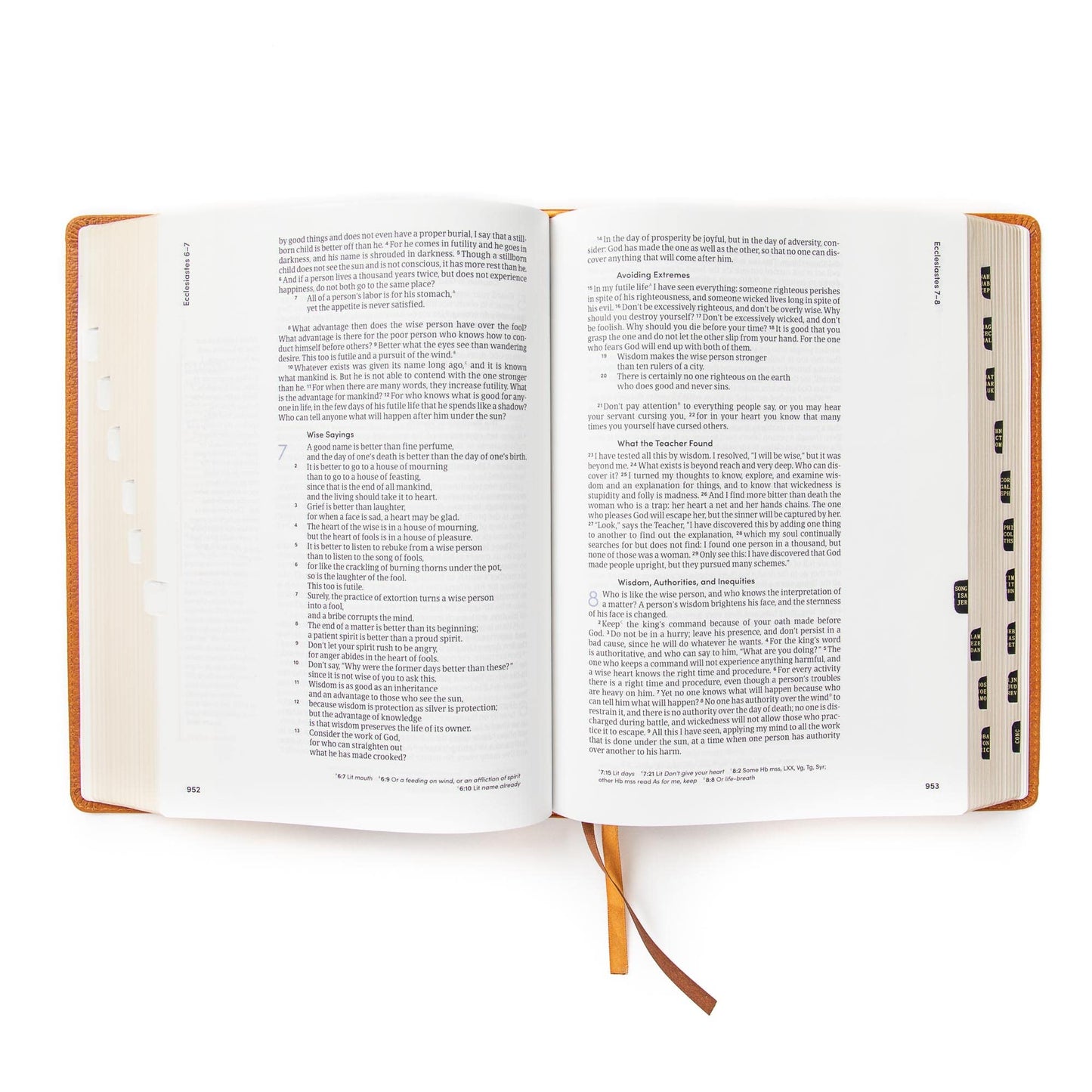 CSB Lifeway Women's Bible, Butterscotch Genuine Leather, Black Letter, Single-Column, Wide-Margins, Devotions, Articles, Word Studies, Character Profiles, Easy-to-Read Bible Serif Type