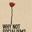Why Not Socialism?