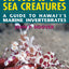 Hawaii's Sea Creatures: A Guide to Hawaii's Marine Invertebrates, Revised Edition
