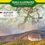 Pisgah Ranger District Map [Pisgah National Forest] (National Geographic Trails Illustrated Map, 780)
