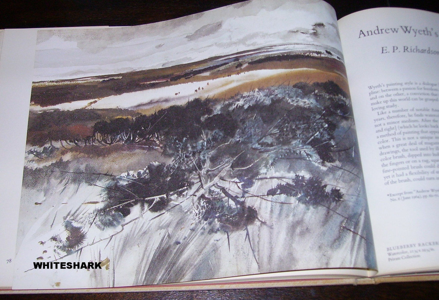 The Art of Andrew Wyeth by Wanda M. Corn
