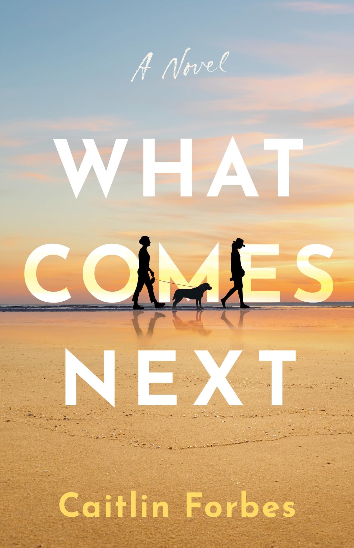 What Comes Next: A Novel