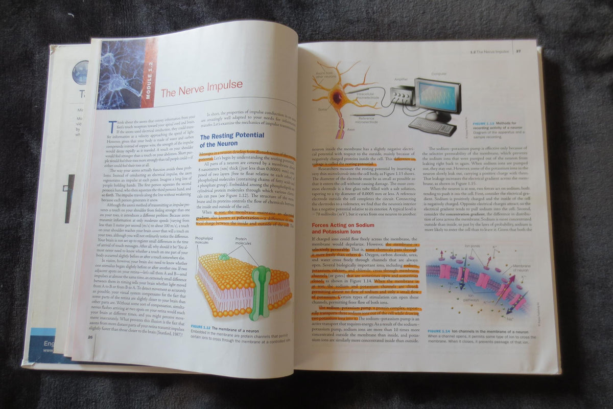 Biological Psychology