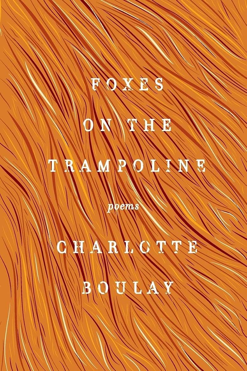 Foxes on the Trampoline: Poems