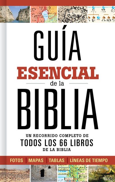 Gu?a esencial de la Biblia  Ultimate Bible Guide (Spanish Edition)