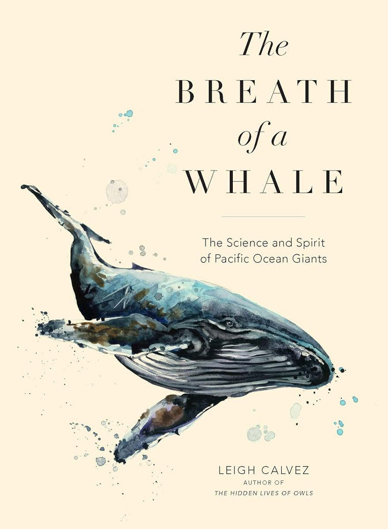 The Breath of a Whale | Pacific Ocean Giants