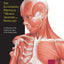 The Illustrated Portfolio of Human Anatomy and Pathology
