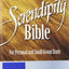 Serendipity Bible: For Personal and Small Group Study by Lym