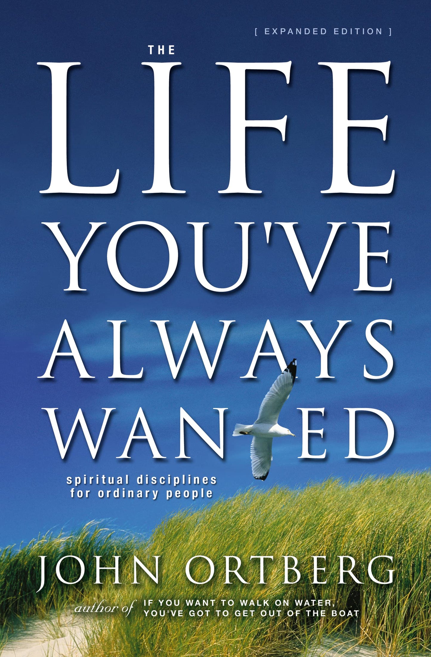 The Life You've Always Wanted: Spiritual Disciplines for Ord
