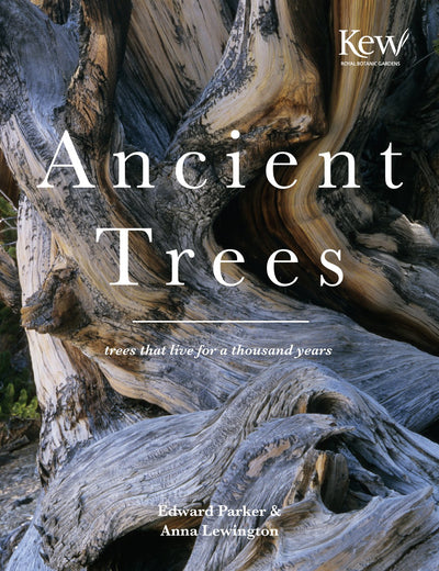 Ancient Trees: Trees that live for a thousand years (Nationa