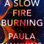 A Slow Fire Burning: A Novel