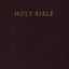 HCSB Gift & Award Bible, Burgundy Imitation Leather