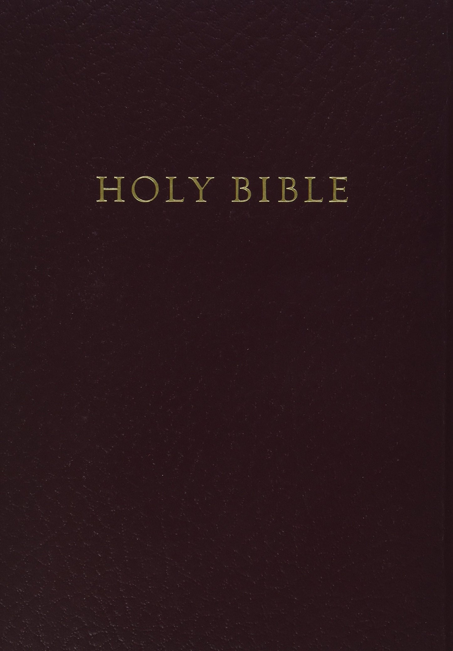 HCSB Gift & Award Bible, Burgundy Imitation Leather