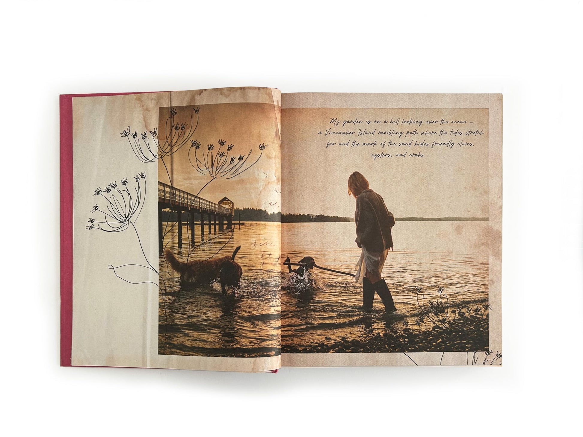 I Love You: Recipes from the Heart (A Cookbook)