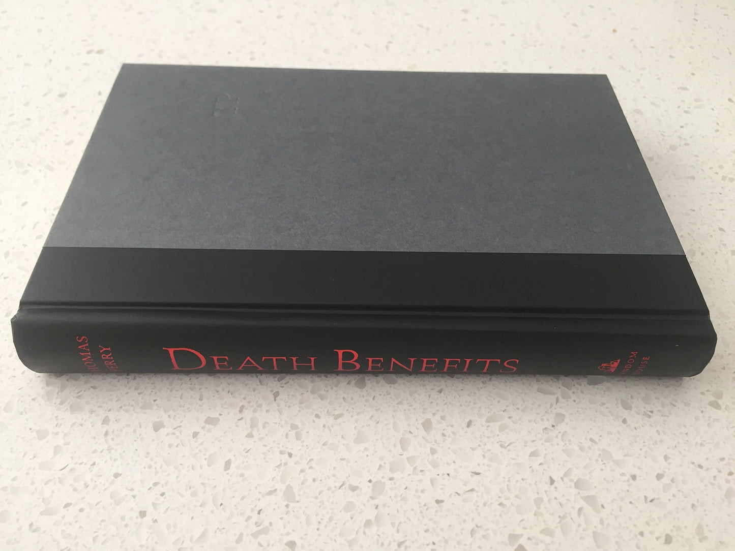 Death Benefits: A Novel