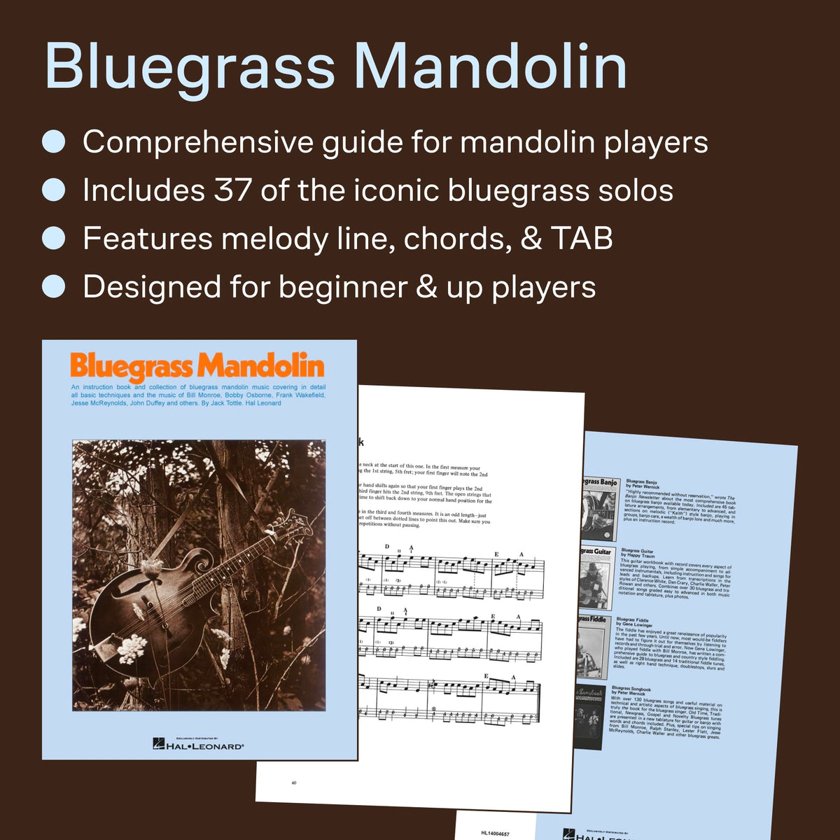 Bluegrass Mandolin