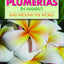 Growing Plumerias in Hawaii
