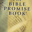 The Bible Promise Book KJV