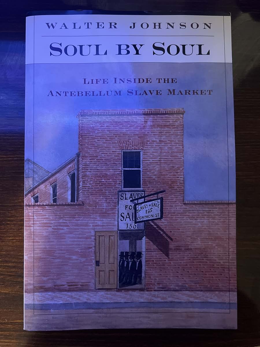 Soul by Soul: Life Inside the Antebellum Slave Market