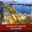 Modelling Freight Transport (Elsevier Insights)