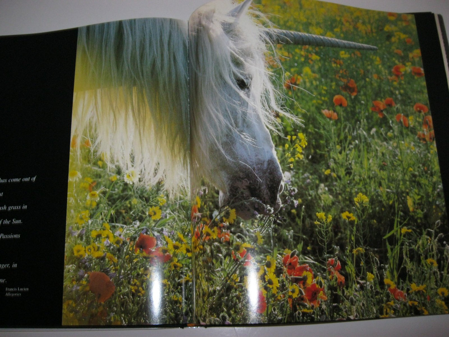 Unicorns I Have Known by Vavra, Robert