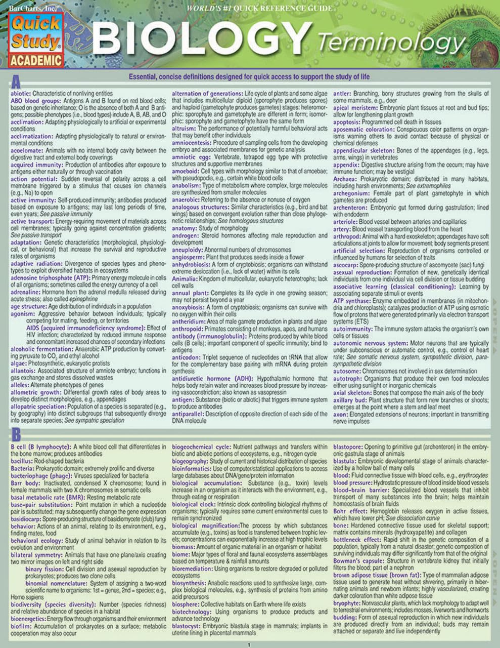 Biology Terminology QuickStudy Laminated Reference Guide (QuickStudy Academic)