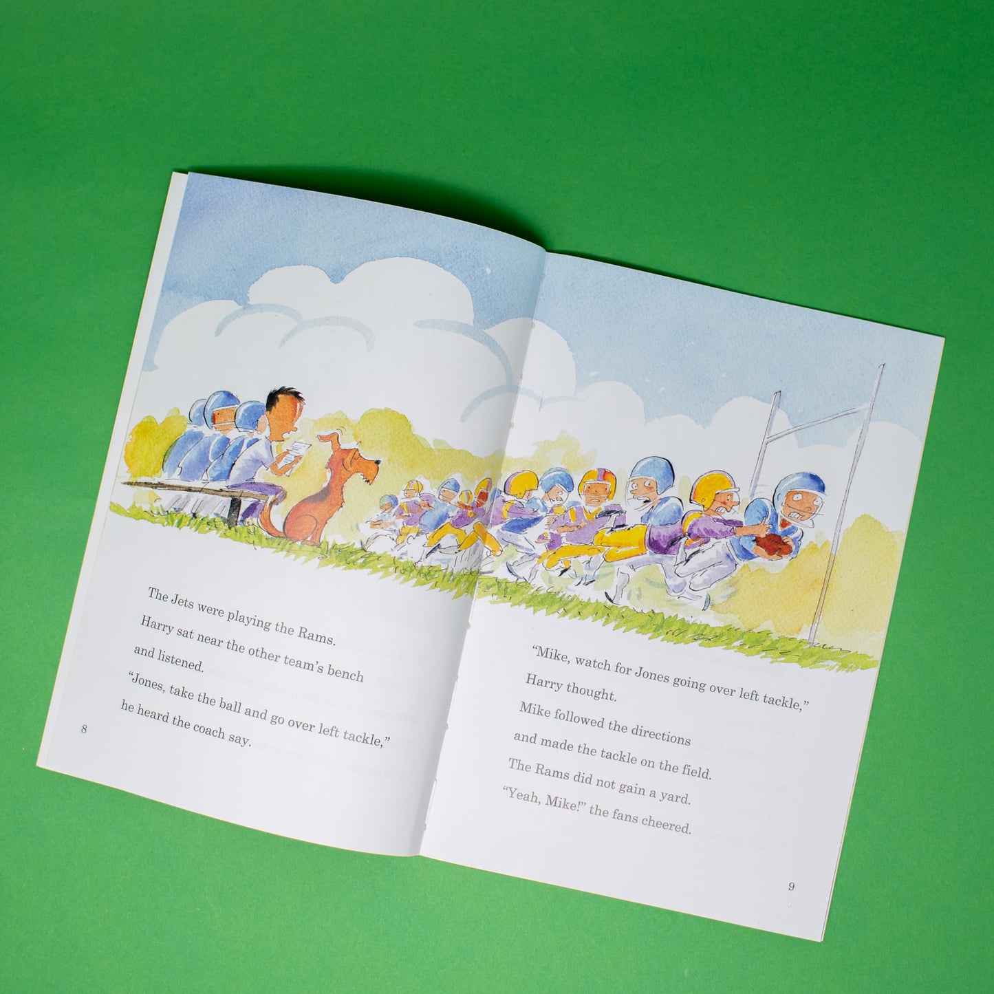 The Dog That Stole Football Plays (Passport to Reading Level 3, 1)