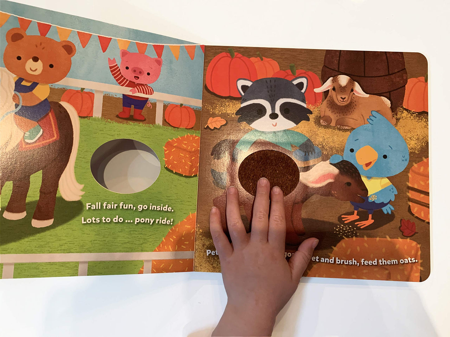 Fun Fall Day: A Touch and Feel Board Book
