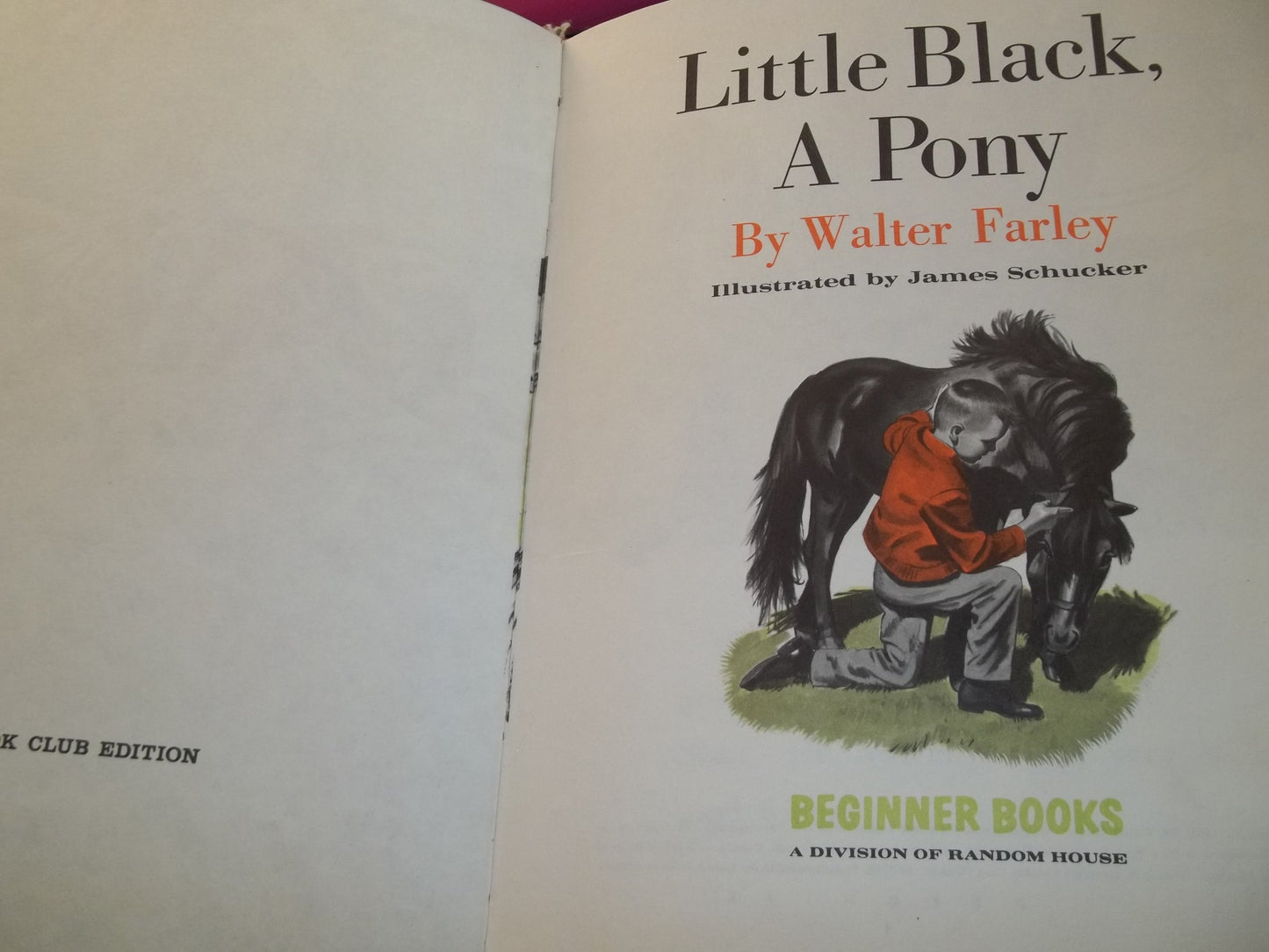 Little Black, A Pony by Walter Farley - New Hardcover
